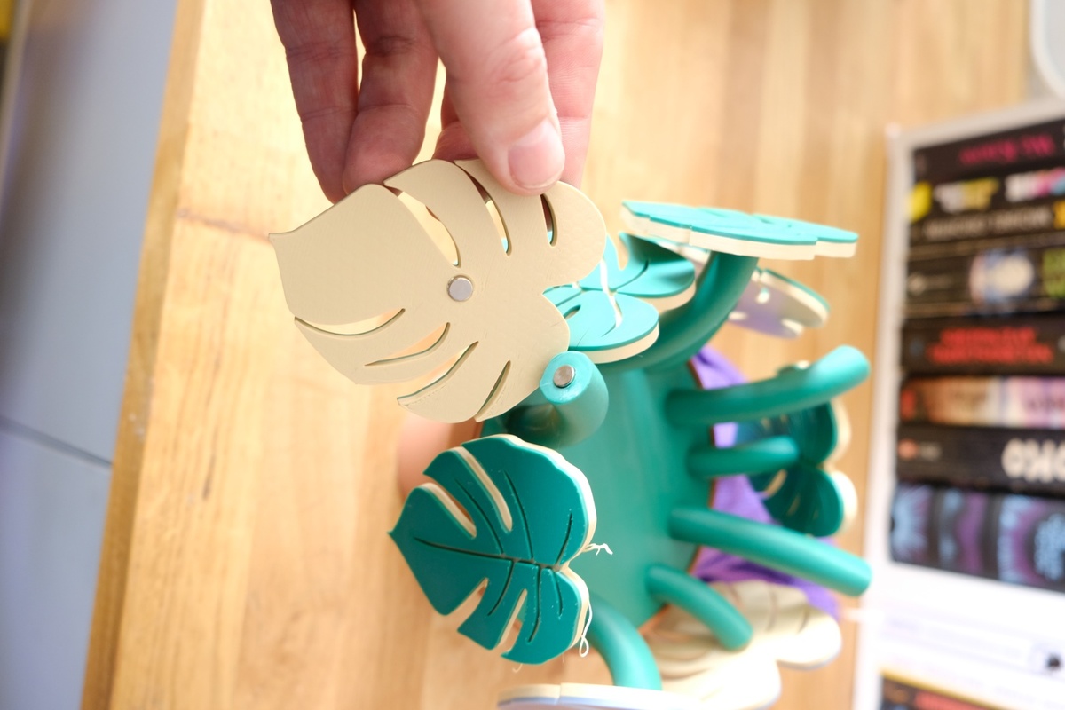 Monstera Magnet Set