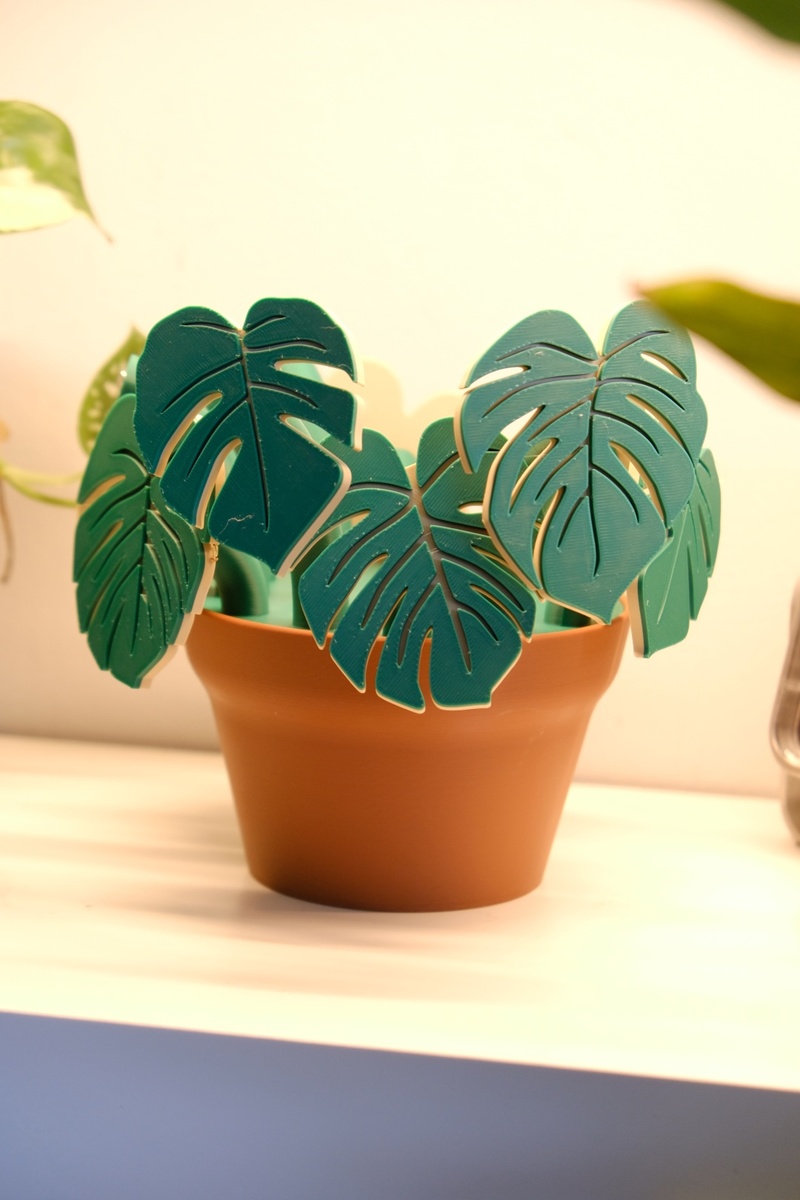 Monstera Magnet Set