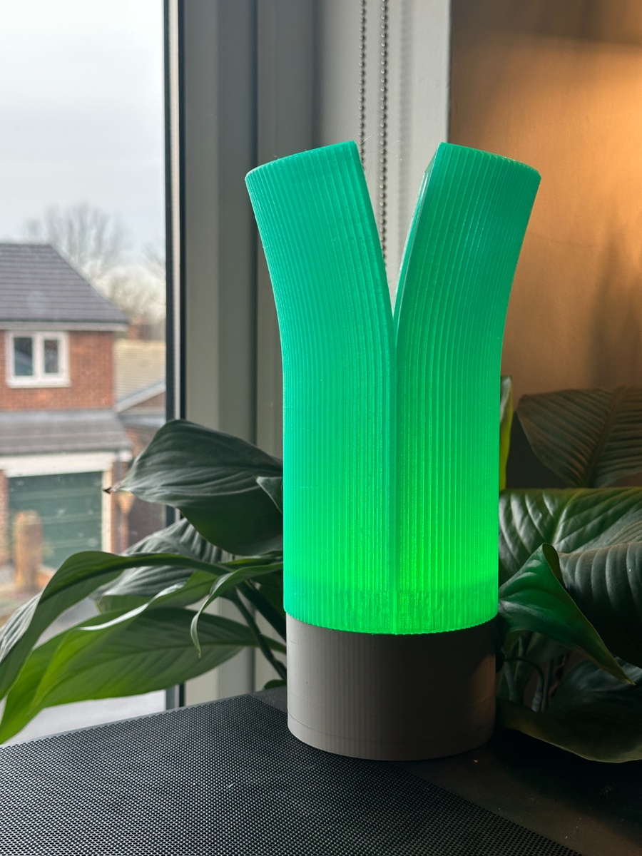 Split Shade Lamp
